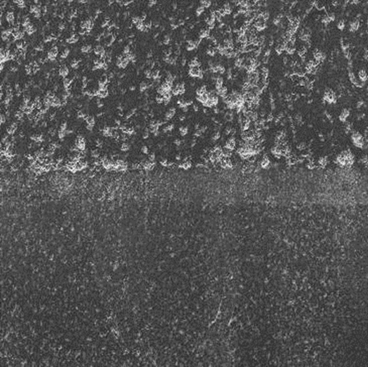 79 IMAGENS REPRESENTATIVAS DO MODO DE FRATURA Na preparação para exame sob o microscópio eletrônico de varredura através de elétrons retroespalhados, as superfícies fraturadas sofreram metalização