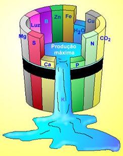 Lei do mínimo (Justos Von Liebig): O desenvolvimento da planta é limitado pelo nutriente que se encontra em