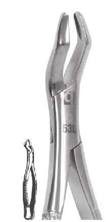 Forceps Adulto Extracting