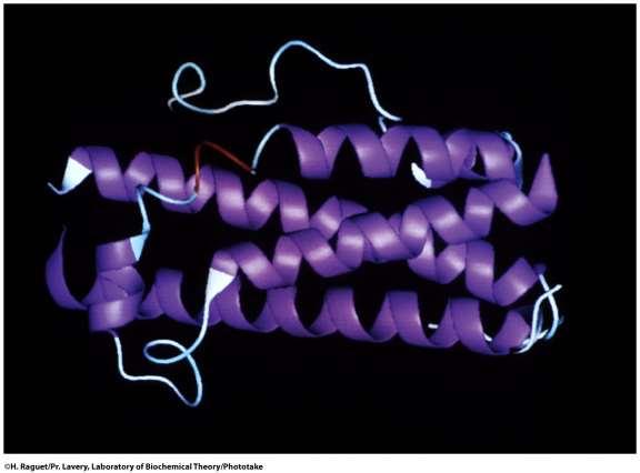 Tecnologia do DNA