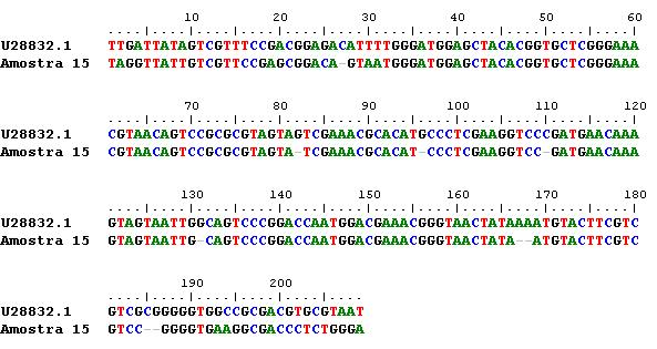 Figura 2 - Alinhamento de nucleotídeos de um segmento do gene
