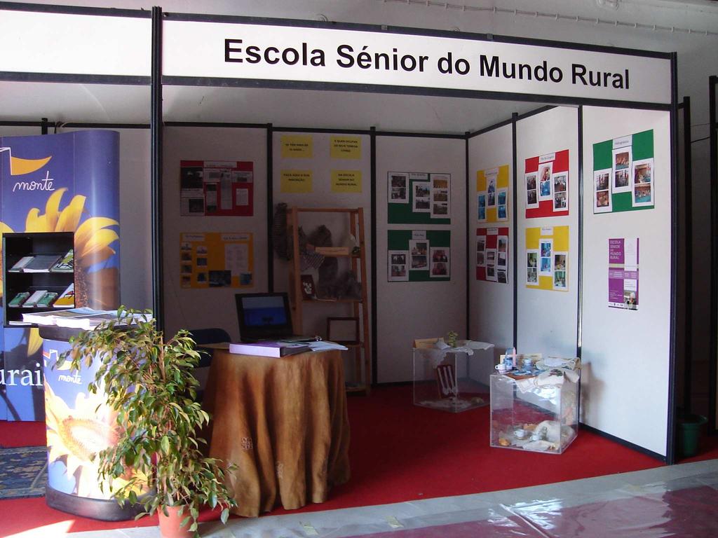 A actividade ""Escola Sénior em Movimento", teve lugar no dia 7 de Julho sendo composta por uma aula de Ginástica, seguida de outra de Hidroginástica e de uma visita à Feria de São BoaVentura, na