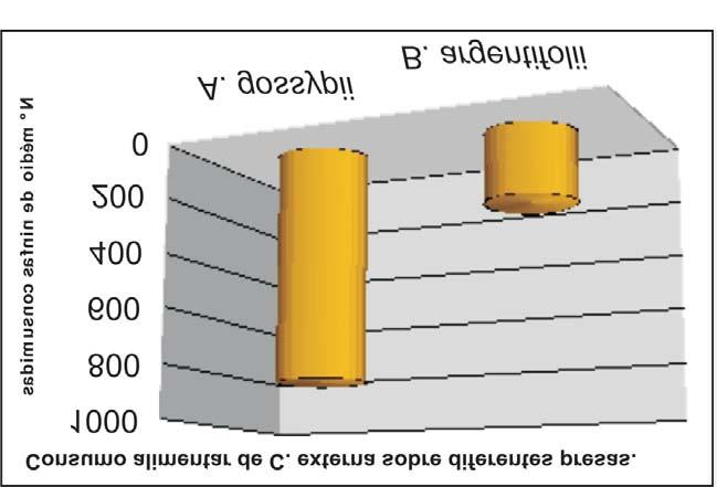Informações sobre Chrysoperla externa 17 667,91 ninfas de pulgão (Fig. 5), correspondendo a 78,87% do consumo total da fase larval.