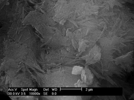 RESULTADOS E DISCUSSÃO A Figura 1 mostra as micrografias de MEV para a atapulgita natural e após o tratamento ácido com solução de 5M H 2 SO 4.