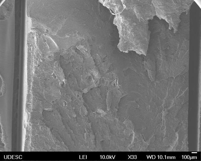 Figura 13 - Micrografias de superfície de fratura
