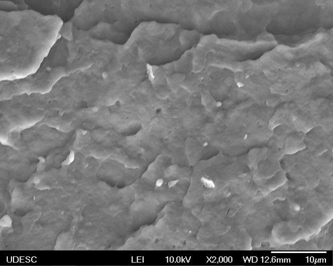 Foram realizadas varreduras em diferentes pontos da superfície, com diferentes aumentos, onde não foi possível identificar nanoargila ou possíveis pontos que poderiam indicar a presença de nanoargila