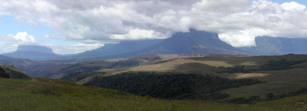 MONTE RORAIMA Objetivos: Desenvolver metodologias para qualificação dos profissionais da ESF.