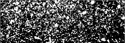 Estabeleceu-se comparação entre os resultados do algoritmo proposto e do software Image Toolm, desenvolvido