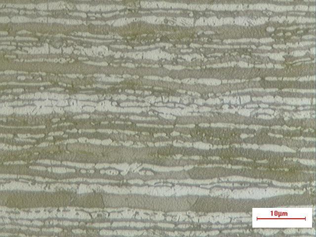 Figura 5.4 Micrografia do aço UNS S32304, aumento original: 2000X; reativo Behara II.
