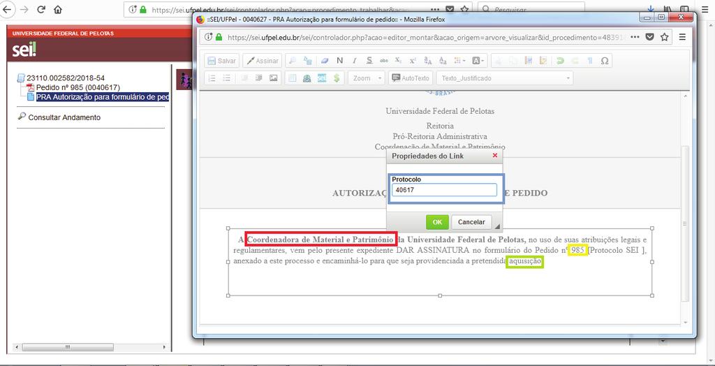 número do pedido, incluir o link do documento no SEI