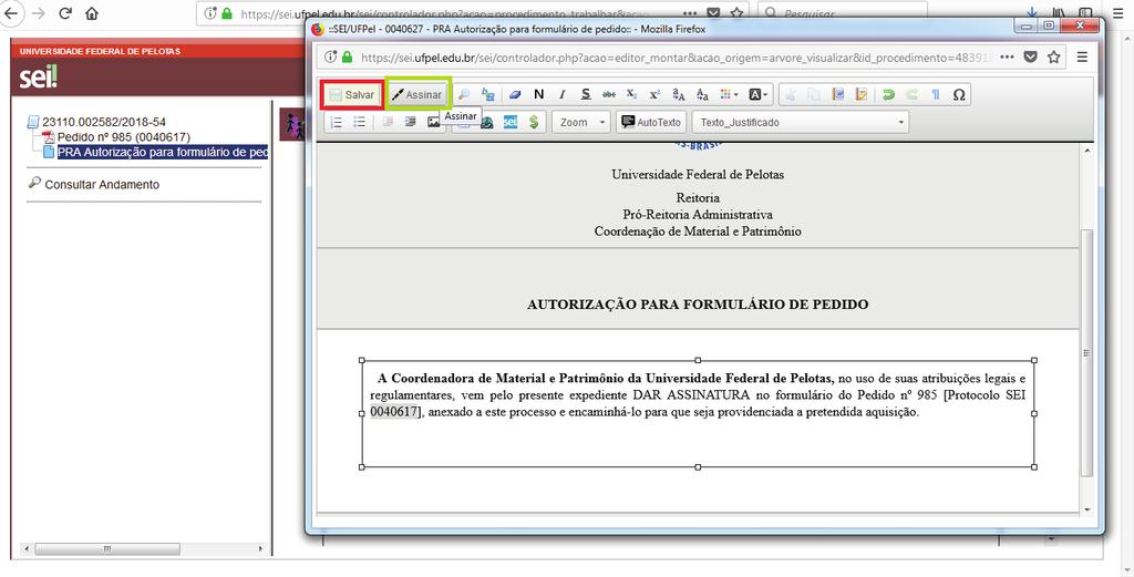 2.6 Salvar e Assinar o documento: Observação: Somente poderão