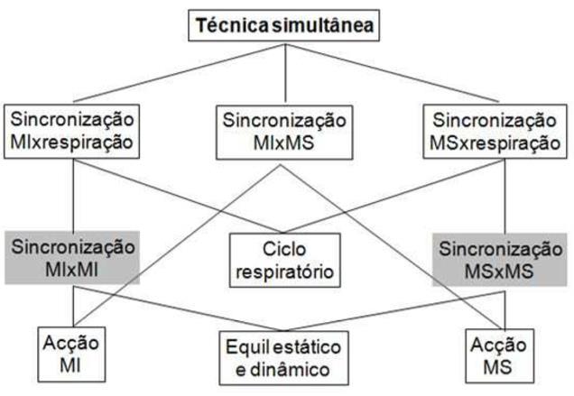 caracterizadores, bem como, da forma como se relacionam entre si estão descritos na figura 12, (Anexo 7 é um modelo de aula com base neste modelo).