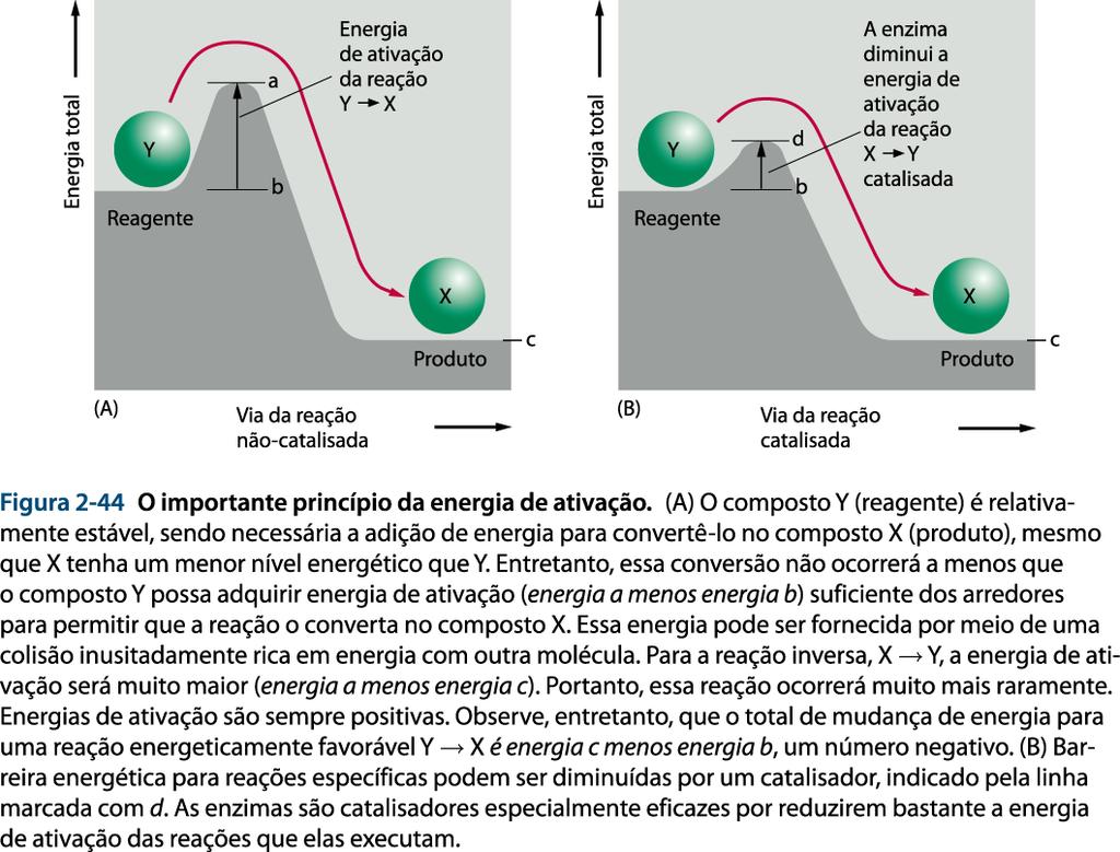 Processos celulares ativos/passivos