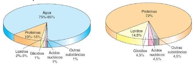 COMPONENTES QUÍMICOS CELULARES Elementos químicos essenciais Substâncias inorgânicas: