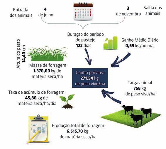 Figura 4.9 Resultados médios de produção animal e vegetal durante o período hibernal no Sistema 4, nos primeiros quatro anos do experimento Fazenda Corticeiras Cristal/RS.