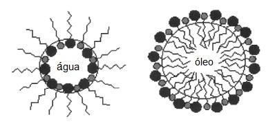14 Figura 6: Conformação de micelas óleo/água e água/óleo Fonte: Adaptado de OLIVEIRA et al, 2004.