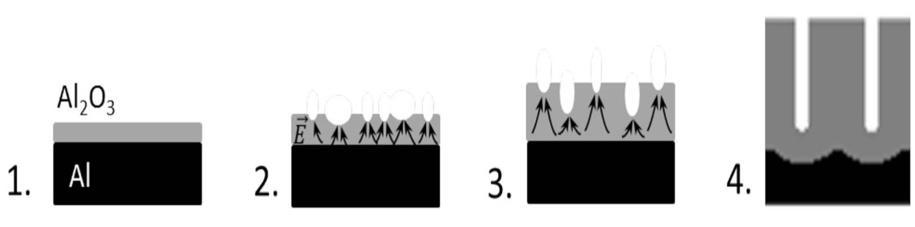 Capítulo I de formação dos poros, devido à distribuição do campo elétrico local nas flutuações da barreira de óxido.