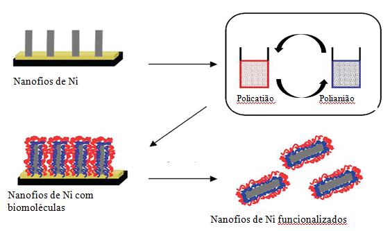 Capítulo I Figura I.15- Funcionalização de nanofios de níquel pelo método LBL. Adaptado da literatura.