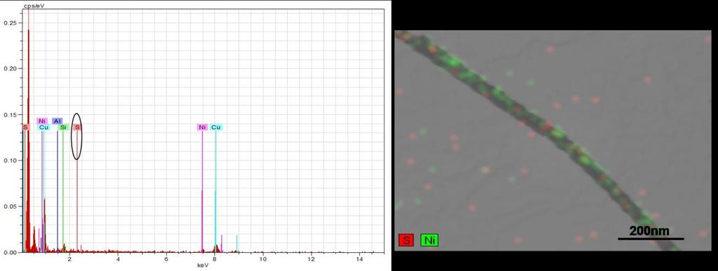 De modo a obter o máximo de informação possível que esta técnica de caracterização permite obter, procedeu-se ao mapeamento dos elementos presentes nos nanofios por SEM-EDX.