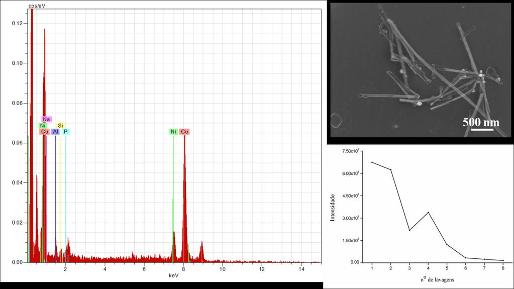 Capítulo IV Figura IV.7- Caracterização da amostra de nanofios com PEI-FITC após lavagens com tampão Fosfato ph 5.5, por SEM, EDX e fluorescência.