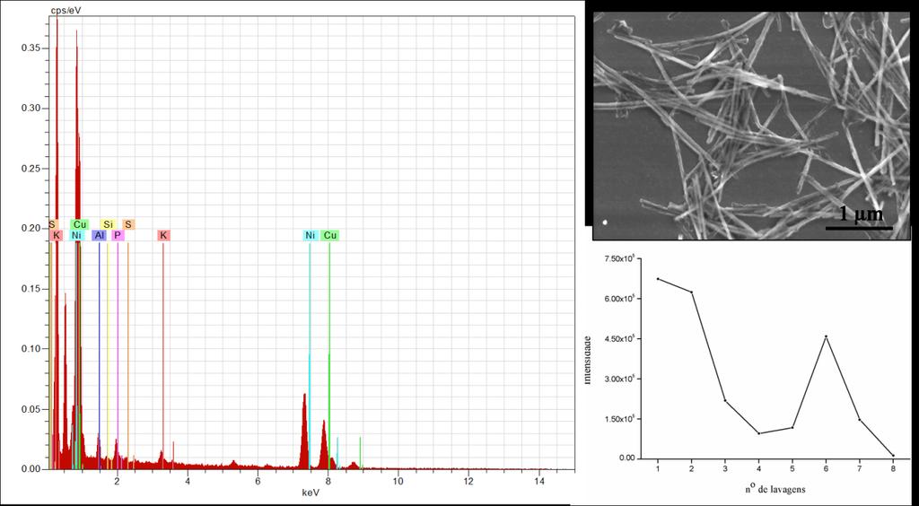 5. Mais uma vez se verifica que os dados do espetro de EDX e do gráfico de monitorização da intensidade da banda de emissão a 519 nm de fluorescência do sobrenadante em