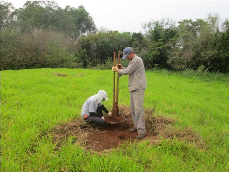 No local havia a presença de calhaus e matacões de basalto esparsos pela superfície e, ao norte, conforme a elevação do terreno, se aumentava a