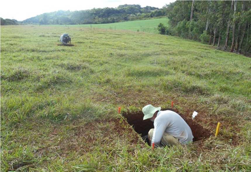 No setor SE, todas as quadras, escavadas até 50 cm, se mostraram positivas, revelando os seguintes resultados: SE 30.