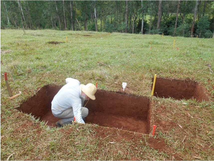 intensa chuva, houve a necessidade de paralisação temporária das atividades. Raspagem de quadras no setor SE. Dia 09 de julho, Quinta-Feira Foram encerradas as escavações nas quadras SE 33.7 e SE 35.