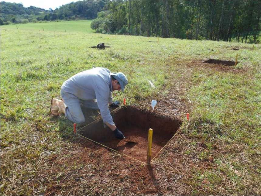 Dia 11 de julho, Sábado Nesta data, foram encerrados os trabalhos arqueológicos na quadra SE 25.