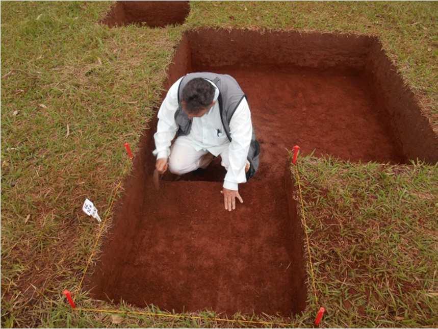 rebaixado. Esta quadra foi aprofundada em mais dois níveis, que se mostraram estéreis de evidências. Trabalhos arqueológicos no setor SE, com raspagem de solo e peneiramento de sedimento.