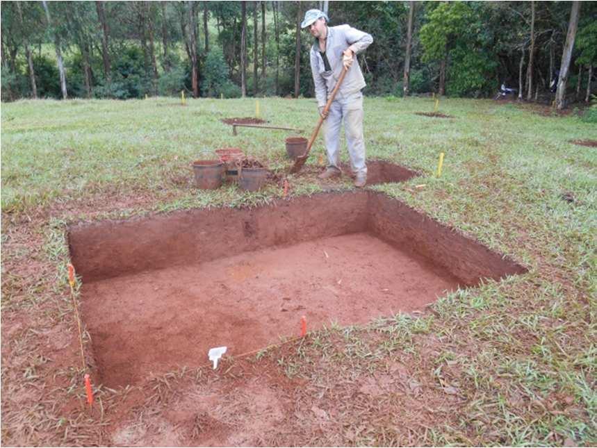 A chuva, constante durante o dia, interrompeu muitas vezes os trabalhos realizados, prejudicando a continuidade dos mesmos. Dia 25 de julho, Sábado Trabalhos arqueológicos no setor SE.