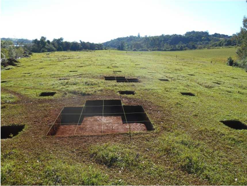 resgate arqueológico no sítio Córrego Caçula-1, iniciaram-se escavações na área