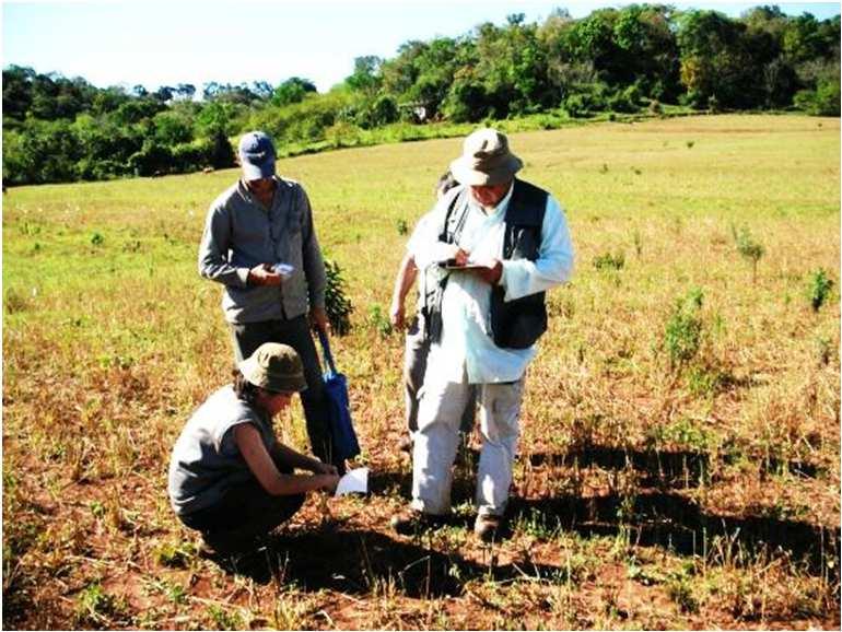 SÍTIO BI15CLM-ST A área do sítio era composta, em