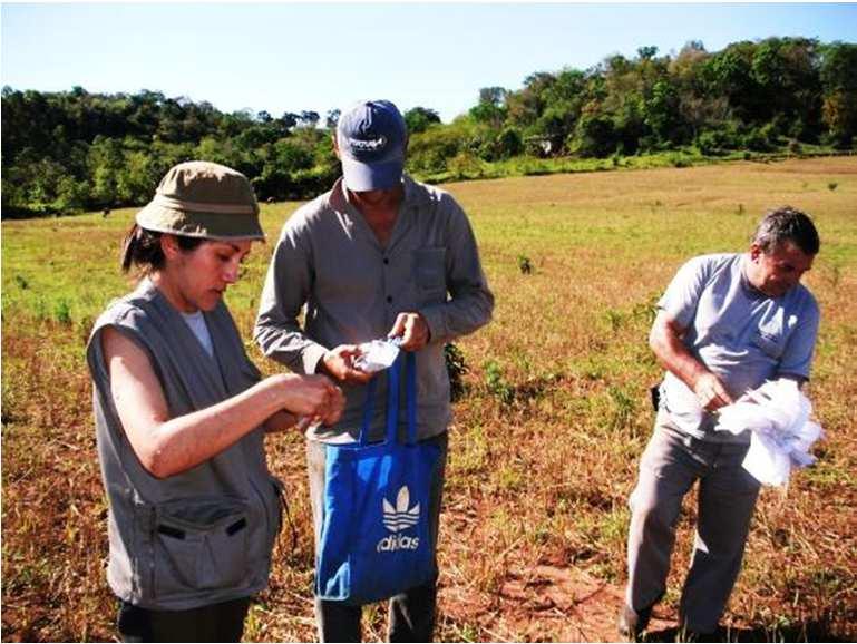 em direção norte, local arada com plantação recente