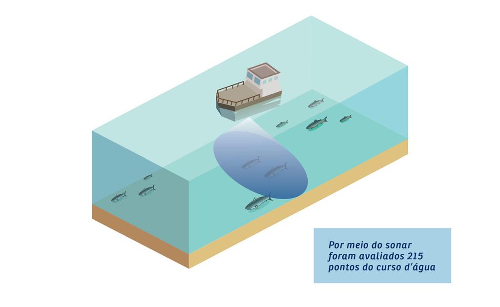 FAUNA E FLORA Sonar no Rio Doce Diagnóstico realizado pela Acqua Consultoria, entre 3 e 11 de dezembro de 2015, confirma que continuam existindo peixes e cardumes ao longo do rio Doce.