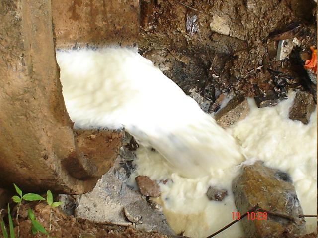 Os principais impactos ambientais proporcionados pelo lançamento de águas residuárias agroindustriais, sem tratamento prévio, em corpos