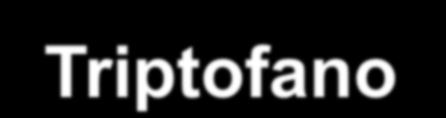 Sinapse serotonérgica Ca +2 Triptofano livre no plasma triptofano 5-OH triptofano serotonina ( 5-HT) 5-HT 5-HT MAO 5-HT 5-HT 5-HT 1B/1D 5-HT2 G 0 5-HT 1C 5-HT 1B/1D 5-HT 1A 5-HT 3 K+