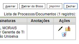 Para visualizar cada documento do bloco, clique no ícone Processos/Documentos do Bloco.