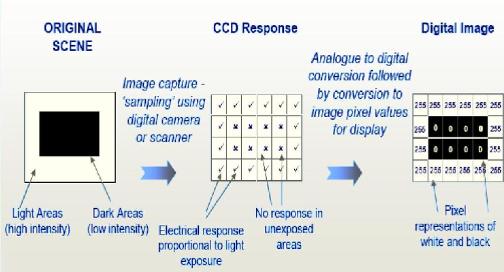 Imagem adquirida por uma cãmera CCD Histograma Útil para análise e realce de imagem Para cada nível de contraste (cinza) de 0 branco a 255 preto, mostra a quantidade de pixels naquele nível