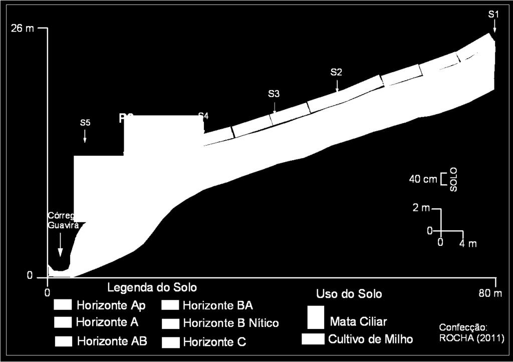81 4.2.3. Classe dos NITOSSOLOS: Os NITOSSOLOS foram encontrados nos setores topográficos baixos das vertentes em que dominam as rupturas com formas côncavas ou convexasretilíneas.