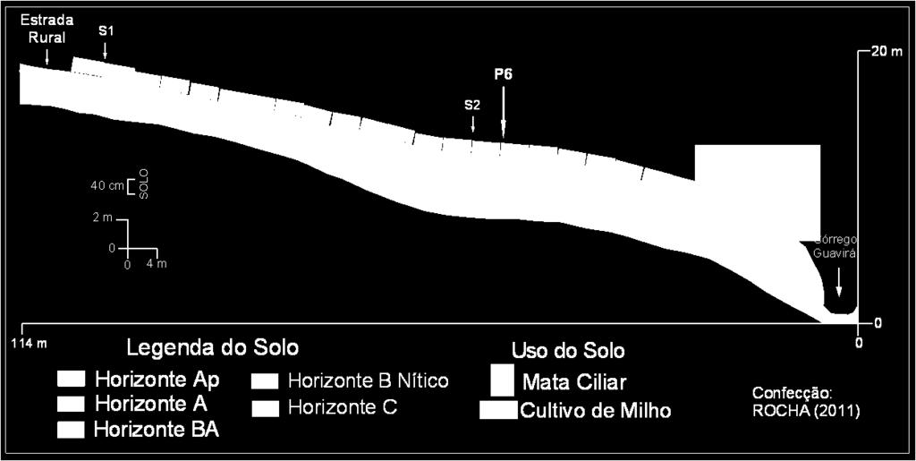 Topossequência de solos 6 A topossequência de solos 6 foi descrita na margem esquerda do córrego Guavirá em um seguimento de forma retilínea a montante e de forma convexa suavemente inclinada, a