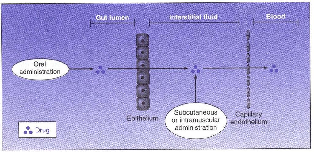 Absorção do fármaco após administração por via