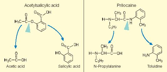 BIOTRANSFORMAÇÃO Alteração química do fármaco no organismo sobre a ação de