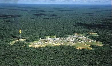 Introdução 19 1 Introdução Em outubro de 1986 a Petrobras descobriu a província petrolífera de Urucu (AM), situada na bacia do Rio Solimões em plena floresta Amazônica a 600 km da cidade de Manaus.