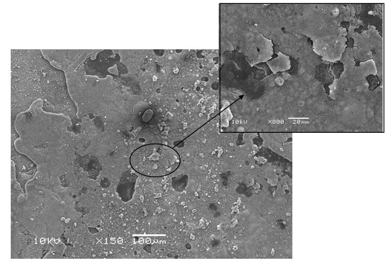 respectivamente e a Figura 59 é para o substrato de aço galvanizado sem revestimento, após ensaio de impedância eletroquímica.