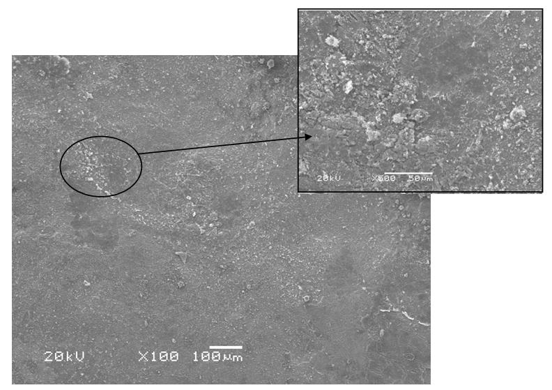 Figura 55: Micrografias obtidas ao MEV para o