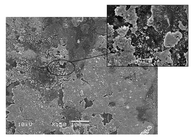 Figura 57: Micrografias obtidas ao MEV para o