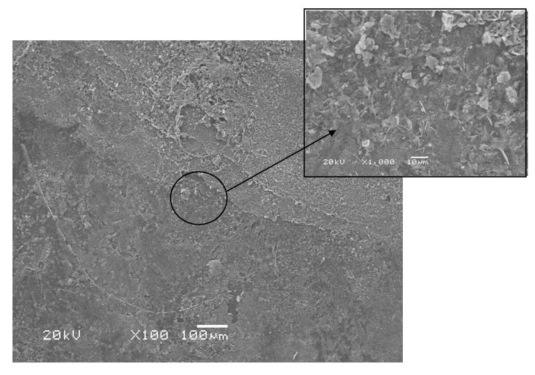 Figura 59: Micrografias obtidas ao MEV para o aço galvanizado sem revestimento após os ensaios de impedância eletroquímica. 5.4.