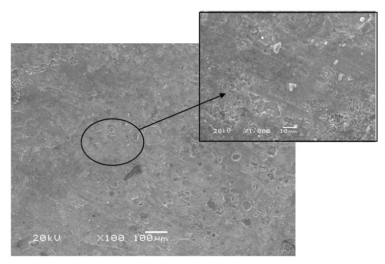 Figura 44. Micrografias obtidas ao MEV para o aço galvanizado sem revestimento.