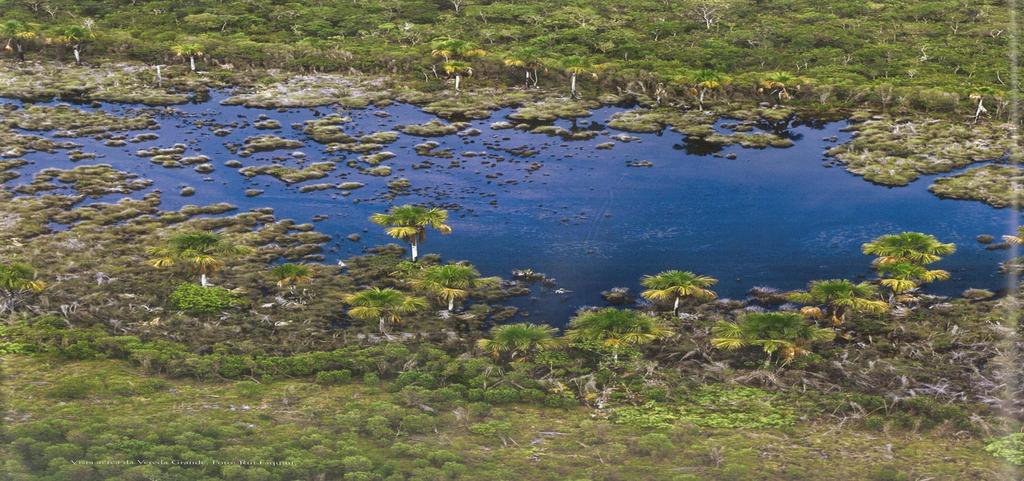 Nós e o ambiente não somos dois processos diferentes: Nós